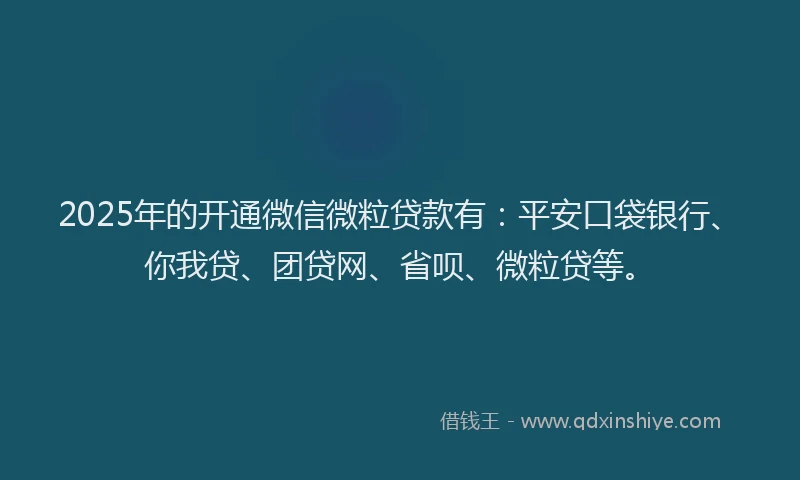 2025年的开通微信微粒贷款有：平安口袋银行、你我贷、团贷网、省呗、微粒贷等。