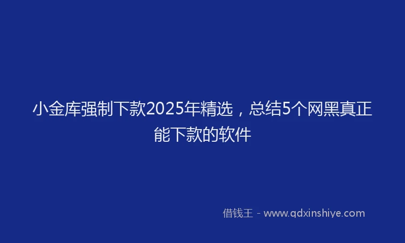 小金库强制下款2025年精选，总结5个网黑真正能下款的软件