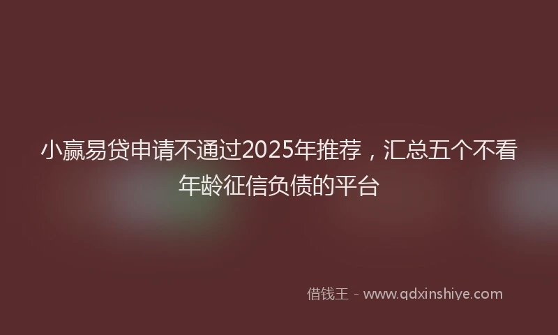 小赢易贷申请不通过2025年推荐，汇总五个不看年龄征信负债的平台
