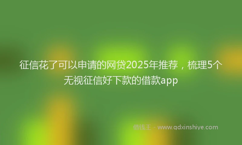征信花了可以申请的网贷2025年推荐，梳理5个无视征信好下款的借款app