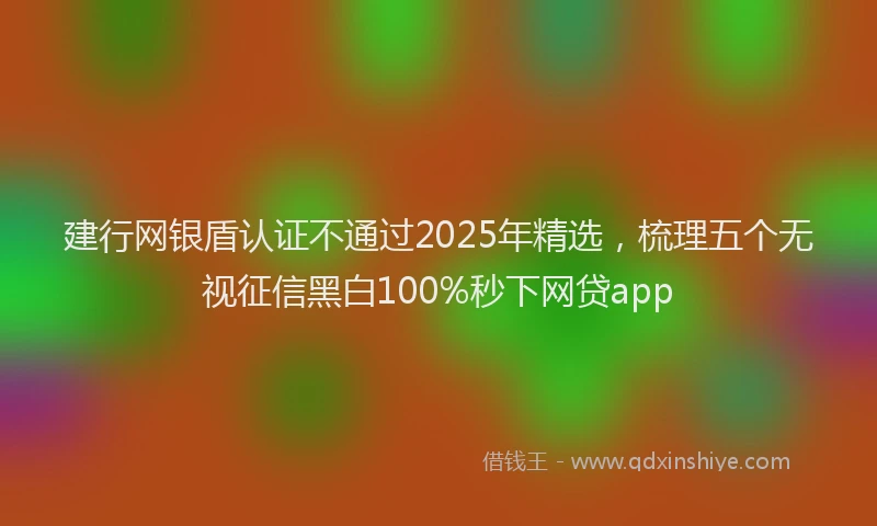 建行网银盾认证不通过2025年精选，梳理五个无视征信黑白100%秒下网贷app