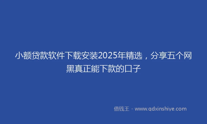 小额贷款软件下载安装2025年精选，分享五个网黑真正能下款的口子