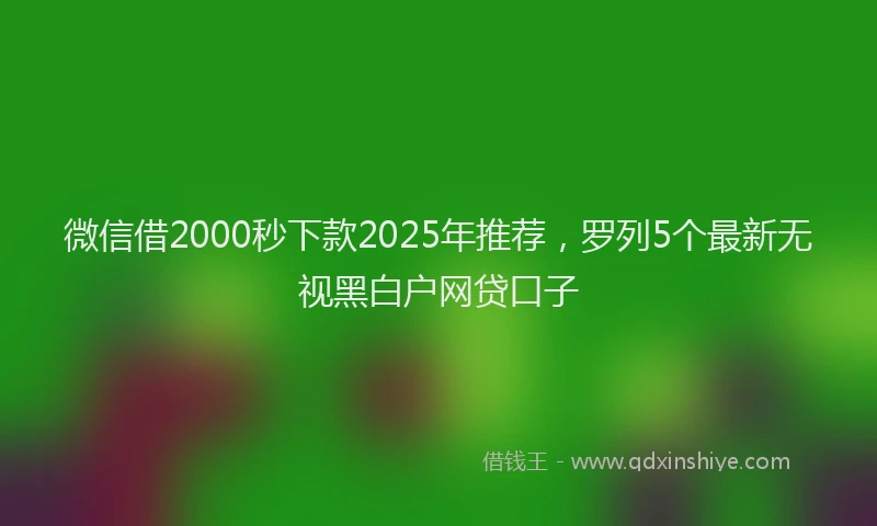 微信借2000秒下款2025年推荐，罗列5个最新无视黑白户网贷口子