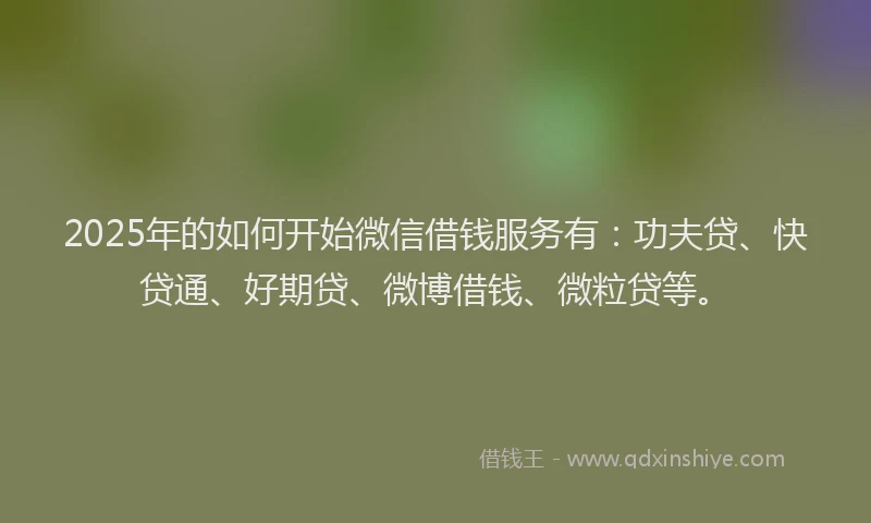 2025年的如何开始微信借钱服务有：功夫贷、快贷通、好期贷、微博借钱、微粒贷等。
