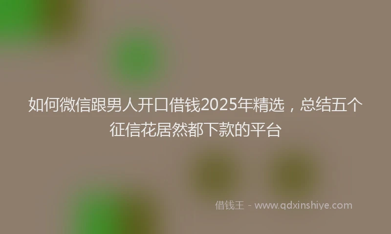 如何微信跟男人开口借钱2025年精选，总结五个征信花居然都下款的平台