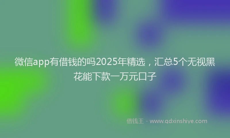 微信app有借钱的吗2025年精选，汇总5个无视黑花能下款一万元口子