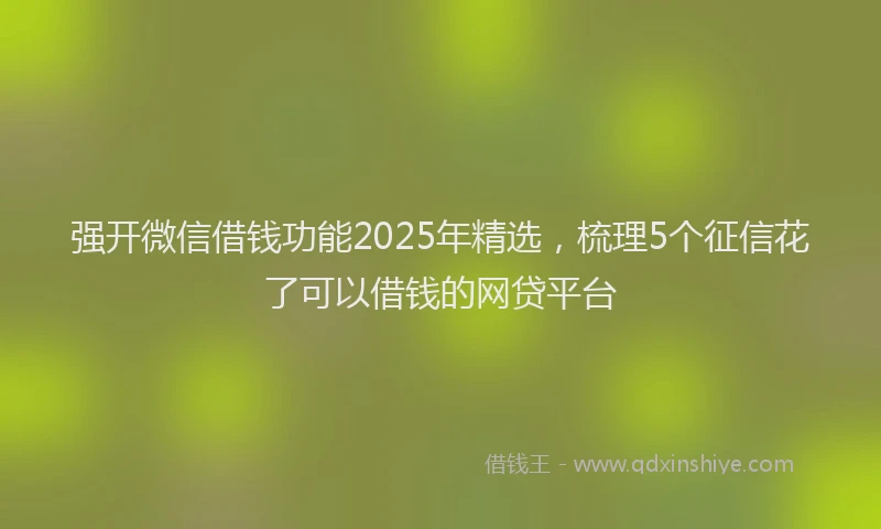 强开微信借钱功能2025年精选，梳理5个征信花了可以借钱的网贷平台