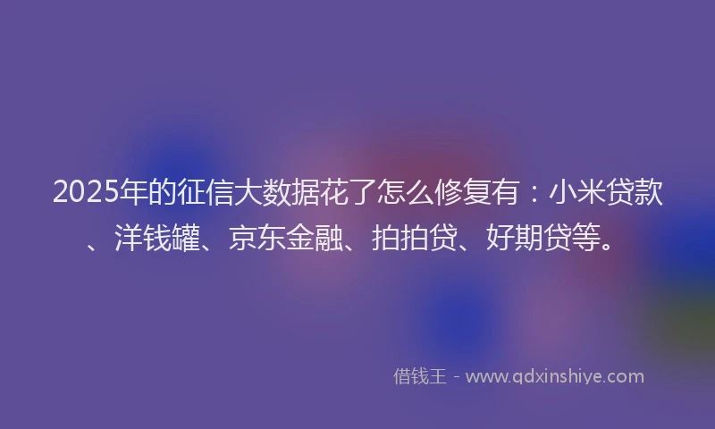 2025年的征信大数据花了怎么修复有：小米贷款、洋钱罐、京东金融、拍拍贷、好期贷等。
