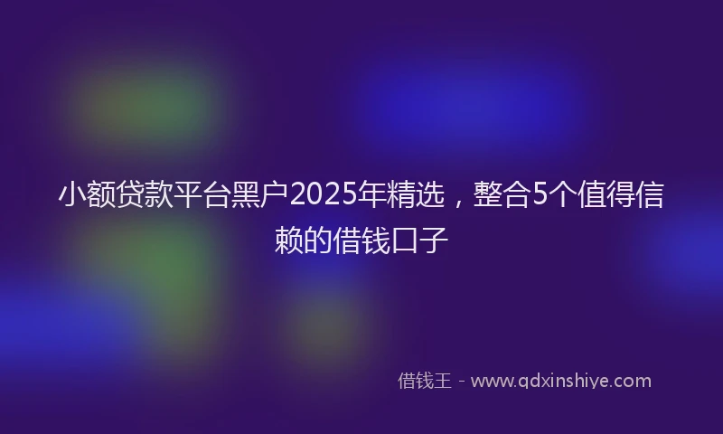 小额贷款平台黑户2025年精选，整合5个值得信赖的借钱口子