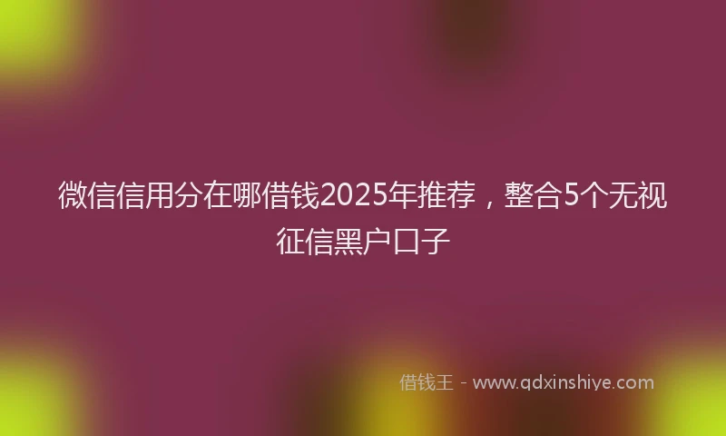 微信信用分在哪借钱2025年推荐，整合5个无视征信黑户口子