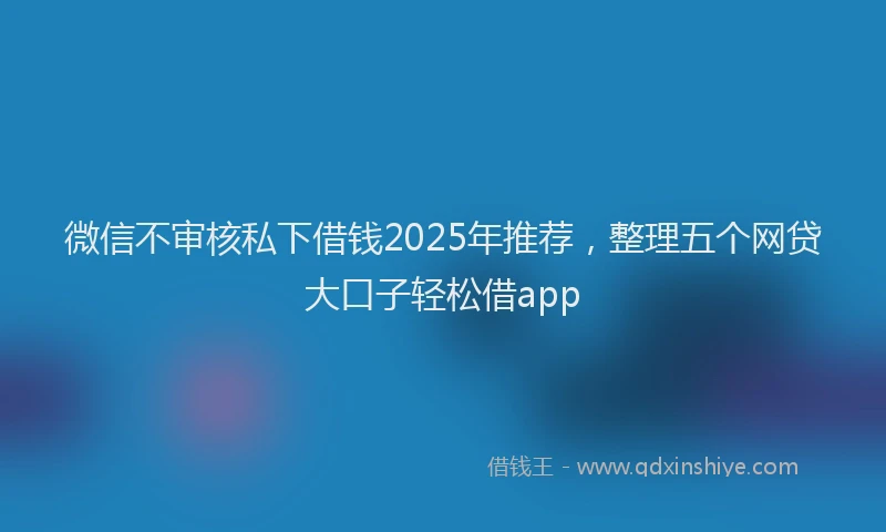 微信不审核私下借钱2025年推荐，整理五个网贷大口子轻松借app