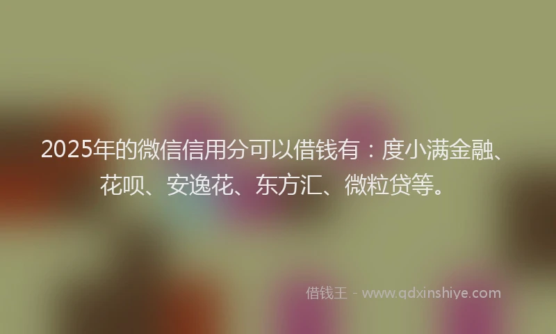2025年的微信信用分可以借钱有：度小满金融、花呗、安逸花、东方汇、微粒贷等。