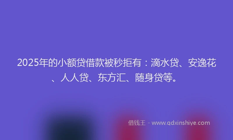 2025年的小额贷借款被秒拒有：滴水贷、安逸花、人人贷、东方汇、随身贷等。