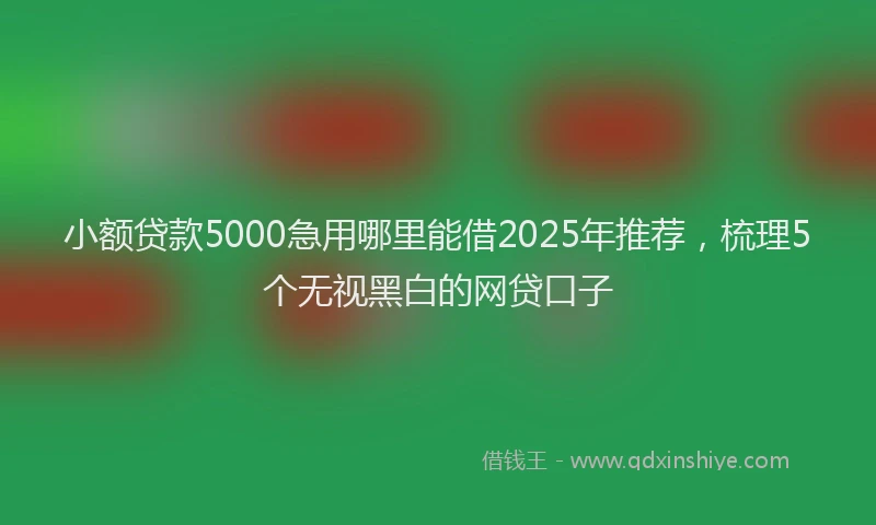 小额贷款5000急用哪里能借2025年推荐，梳理5个无视黑白的网贷口子