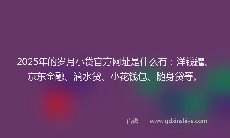 2025年的岁月小贷官方网址是什么有：洋钱罐、京东金融、滴水贷、小花钱包、随身贷等。