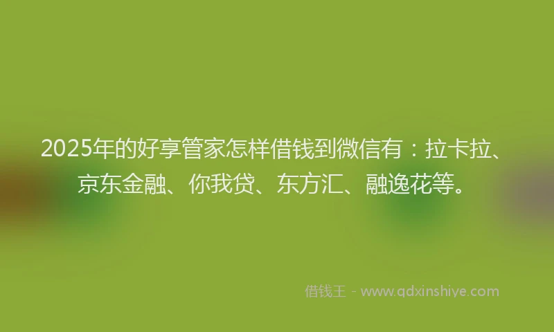 2025年的好享管家怎样借钱到微信有：拉卡拉、京东金融、你我贷、东方汇、融逸花等。