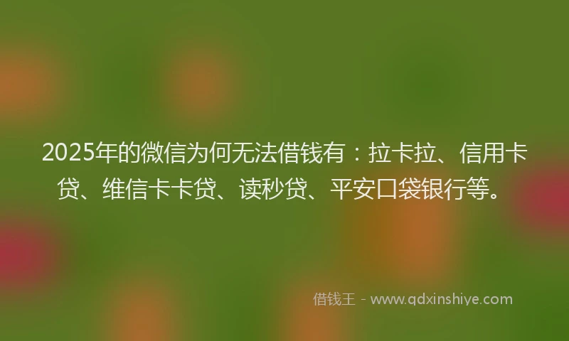 2025年的微信为何无法借钱有：拉卡拉、信用卡贷、维信卡卡贷、读秒贷、平安口袋银行等。