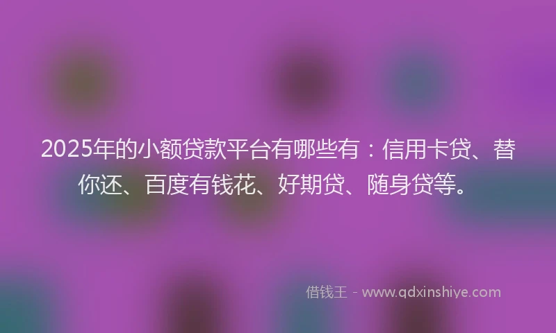 2025年的小额贷款平台有哪些有：信用卡贷、替你还、百度有钱花、好期贷、随身贷等。