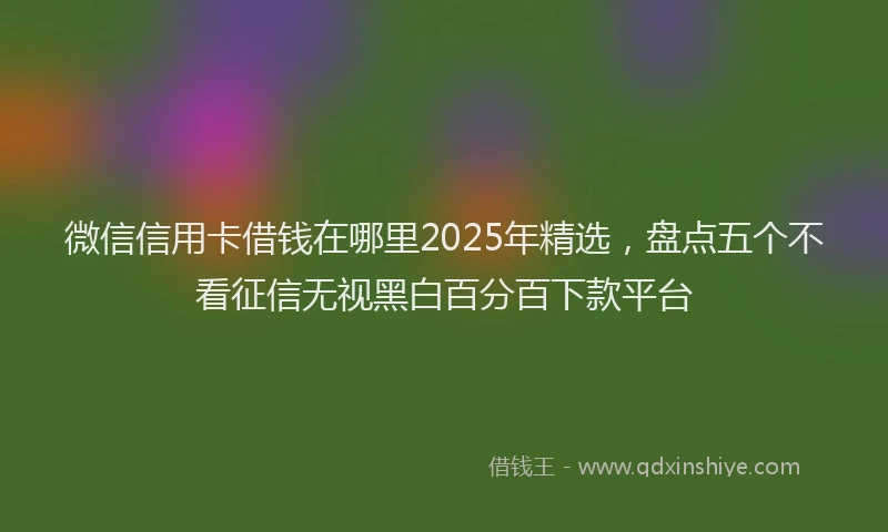 微信信用卡借钱在哪里2025年精选，盘点五个不看征信无视黑白百分百下款平台