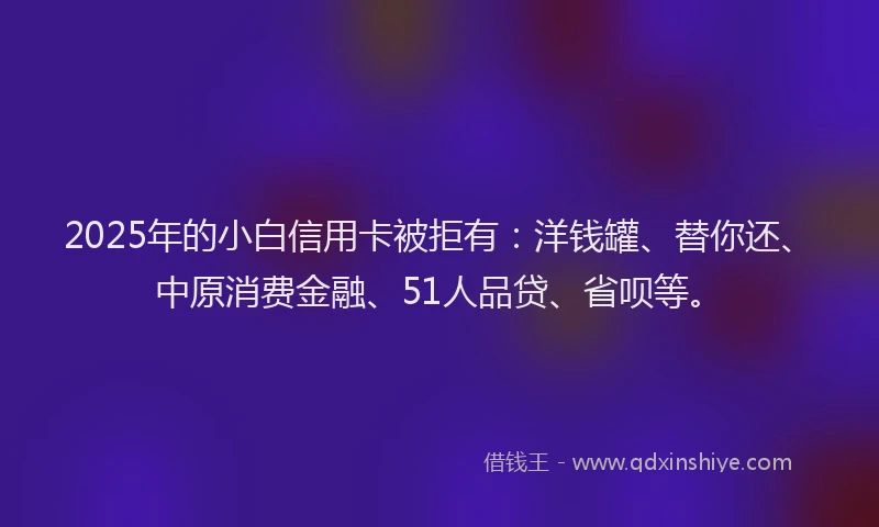 2025年的小白信用卡被拒有：洋钱罐、替你还、中原消费金融、51人品贷、省呗等。