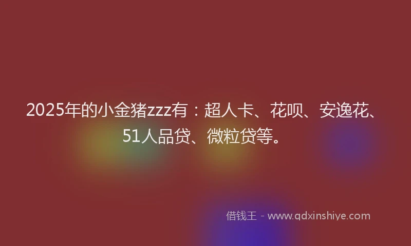 2025年的小金猪zzz有：超人卡、花呗、安逸花、51人品贷、微粒贷等。