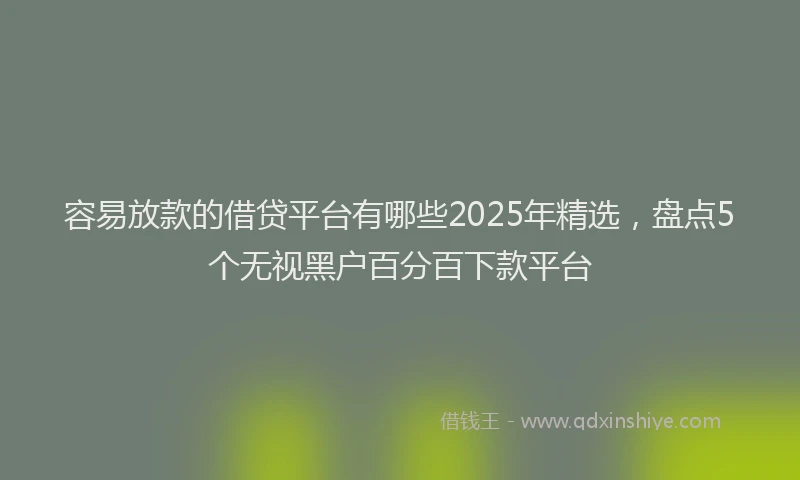 容易放款的借贷平台有哪些2025年精选，盘点5个无视黑户百分百下款平台