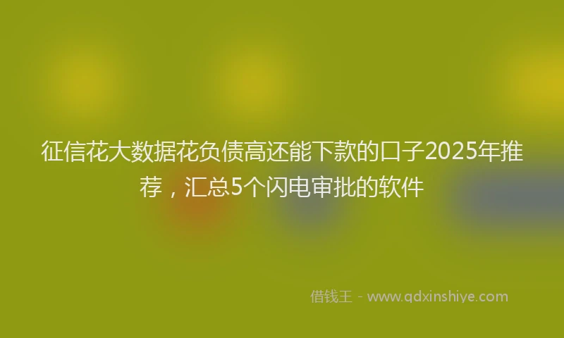 征信花大数据花负债高还能下款的口子2025年推荐，汇总5个闪电审批的软件