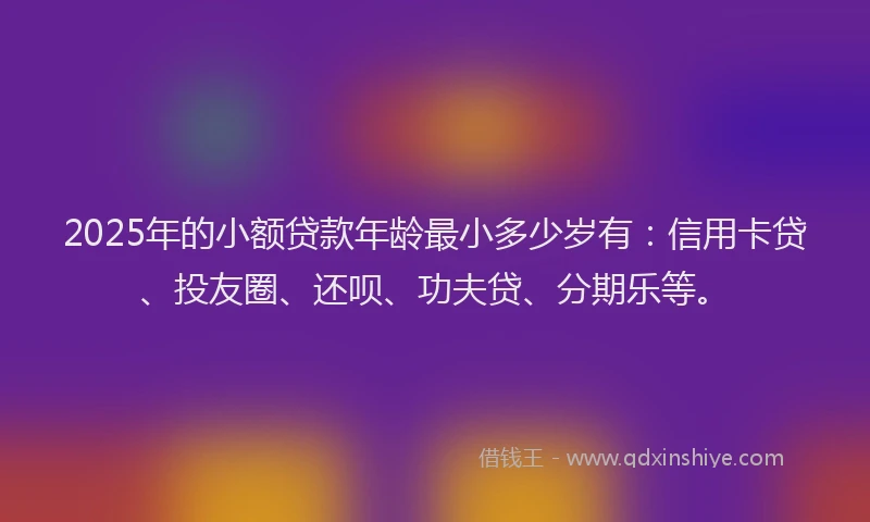 2025年的小额贷款年龄最小多少岁有：信用卡贷、投友圈、还呗、功夫贷、分期乐等。