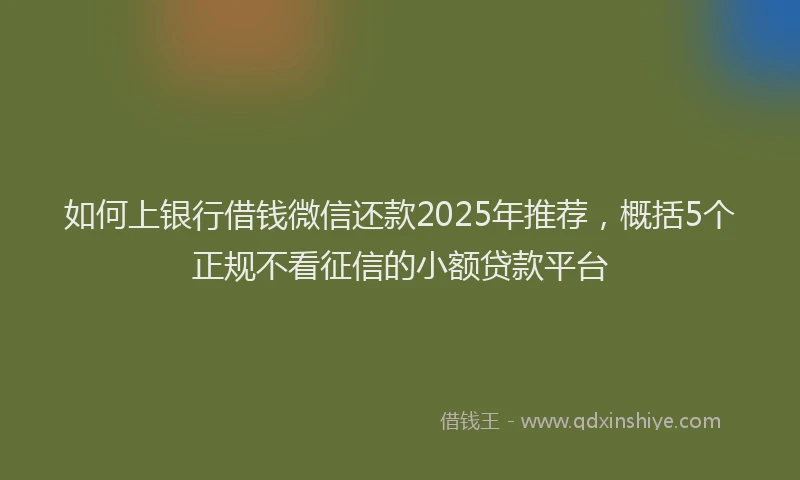 如何上银行借钱微信还款2025年推荐，概括5个正规不看征信的小额贷款平台