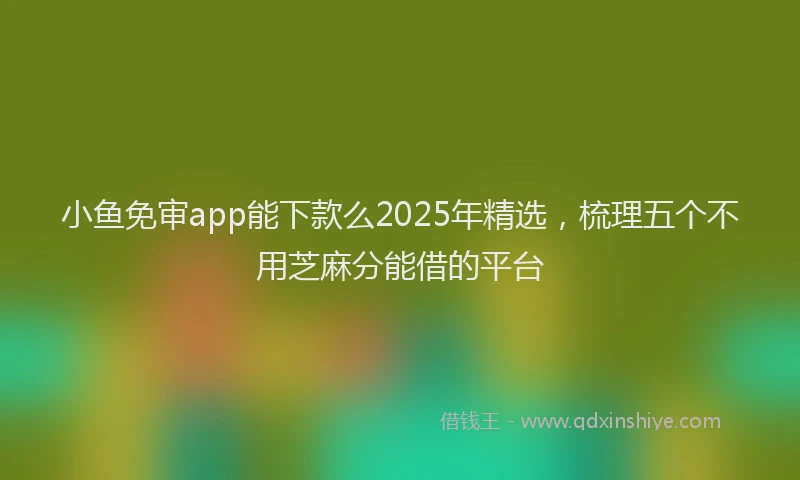 小鱼免审app能下款么2025年精选，梳理五个不用芝麻分能借的平台