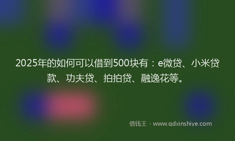 2025年的如何可以借到500块有：e微贷、小米贷款、功夫贷、拍拍贷、融逸花等。