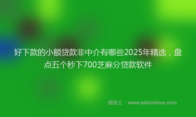 好下款的小额贷款非中介有哪些2025年精选，盘点五个秒下700芝麻分贷款软件