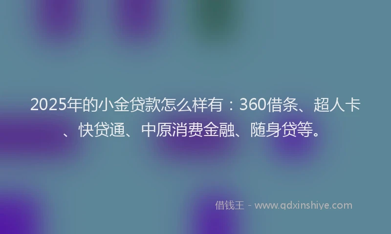 2025年的小金贷款怎么样有：360借条、超人卡、快贷通、中原消费金融、随身贷等。
