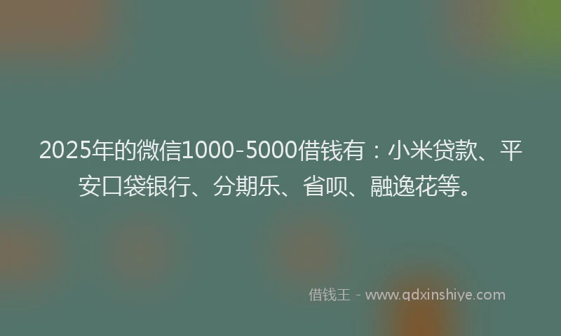 2025年的微信1000-5000借钱有：小米贷款、平安口袋银行、分期乐、省呗、融逸花等。