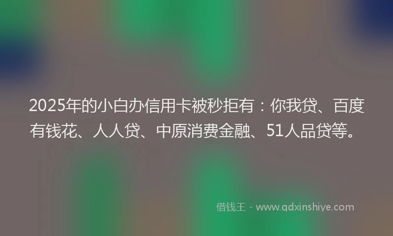2025年的小白办信用卡被秒拒有：你我贷、百度有钱花、人人贷、中原消费金融、51人品贷等。