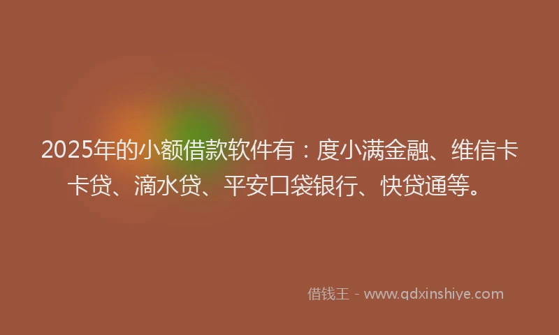 2025年的小额借款软件有：度小满金融、维信卡卡贷、滴水贷、平安口袋银行、快贷通等。