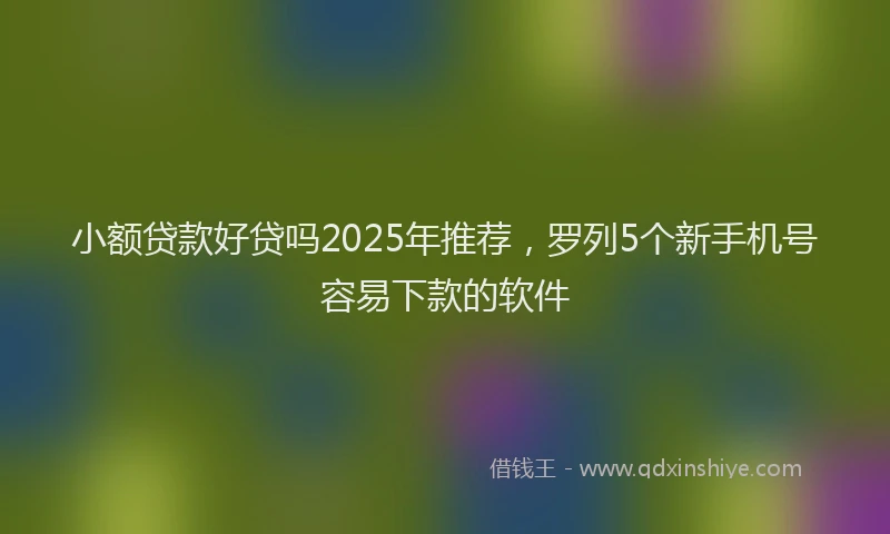 小额贷款好贷吗2025年推荐，罗列5个新手机号容易下款的软件