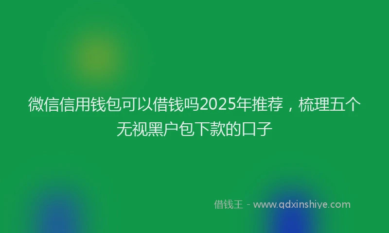 微信信用钱包可以借钱吗2025年推荐，梳理五个无视黑户包下款的口子