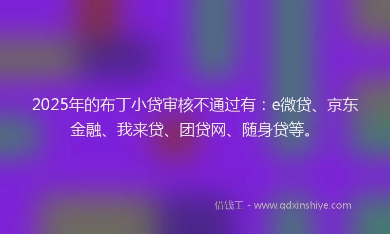 2025年的布丁小贷审核不通过有：e微贷、京东金融、我来贷、团贷网、随身贷等。