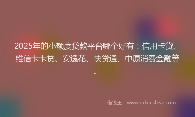 2025年的小额度贷款平台哪个好有：信用卡贷、维信卡卡贷、安逸花、快贷通、中原消费金融等。