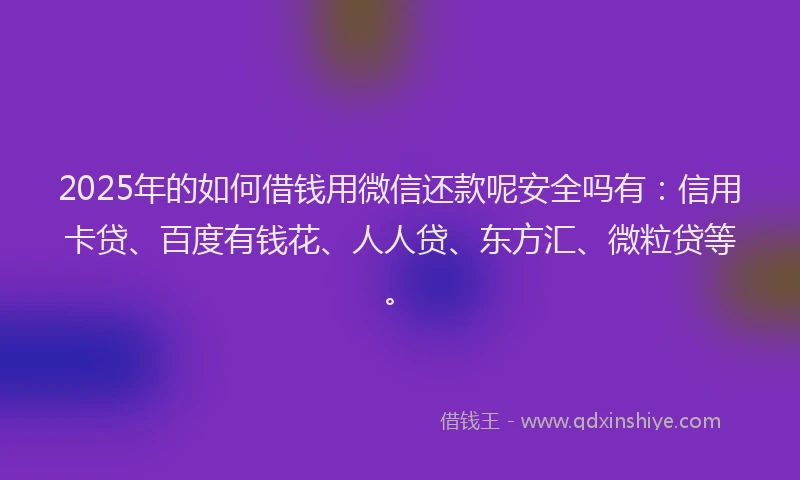 2025年的如何借钱用微信还款呢安全吗有：信用卡贷、百度有钱花、人人贷、东方汇、微粒贷等。