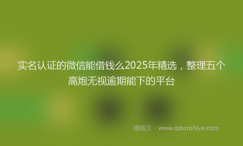 实名认证的微信能借钱么2025年精选，整理五个高炮无视逾期能下的平台