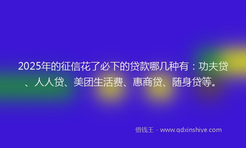 2025年的征信花了必下的贷款哪几种有：功夫贷、人人贷、美团生活费、惠商贷、随身贷等。