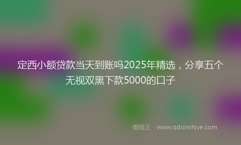 定西小额贷款当天到账吗2025年精选，分享五个无视双黑下款5000的口子