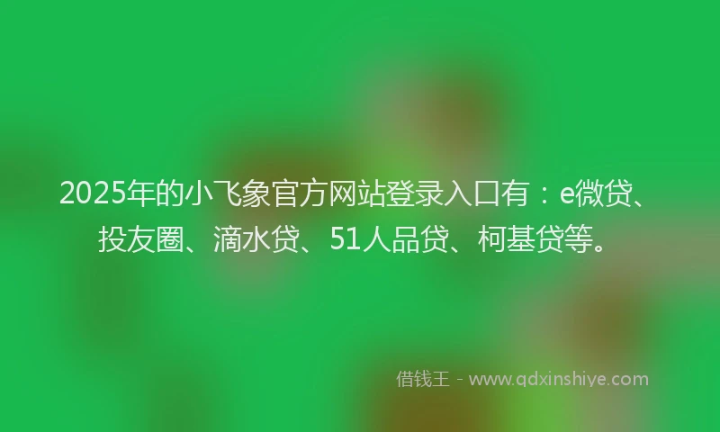 2025年的小飞象官方网站登录入口有：e微贷、投友圈、滴水贷、51人品贷、柯基贷等。