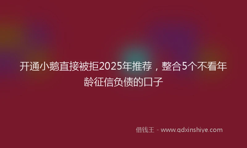 开通小鹅直接被拒2025年推荐，整合5个不看年龄征信负债的口子