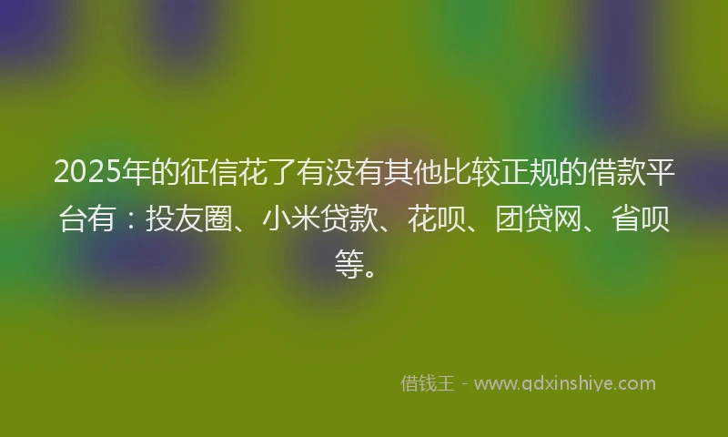 2025年的征信花了有没有其他比较正规的借款平台有：投友圈、小米贷款、花呗、团贷网、省呗等。