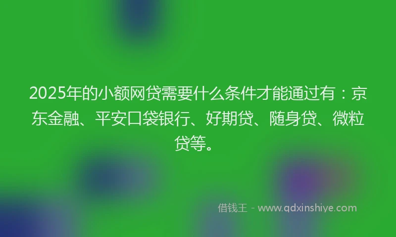2025年的小额网贷需要什么条件才能通过有：京东金融、平安口袋银行、好期贷、随身贷、微粒贷等。