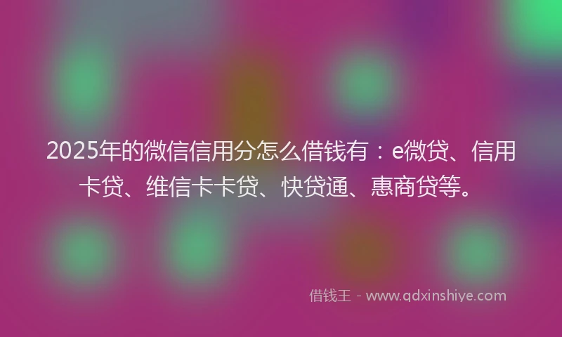 2025年的微信信用分怎么借钱有：e微贷、信用卡贷、维信卡卡贷、快贷通、惠商贷等。