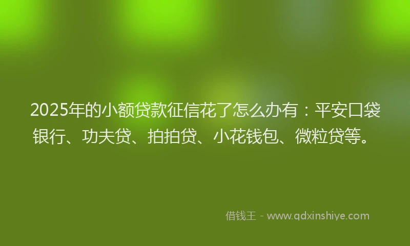 2025年的小额贷款征信花了怎么办有：平安口袋银行、功夫贷、拍拍贷、小花钱包、微粒贷等。